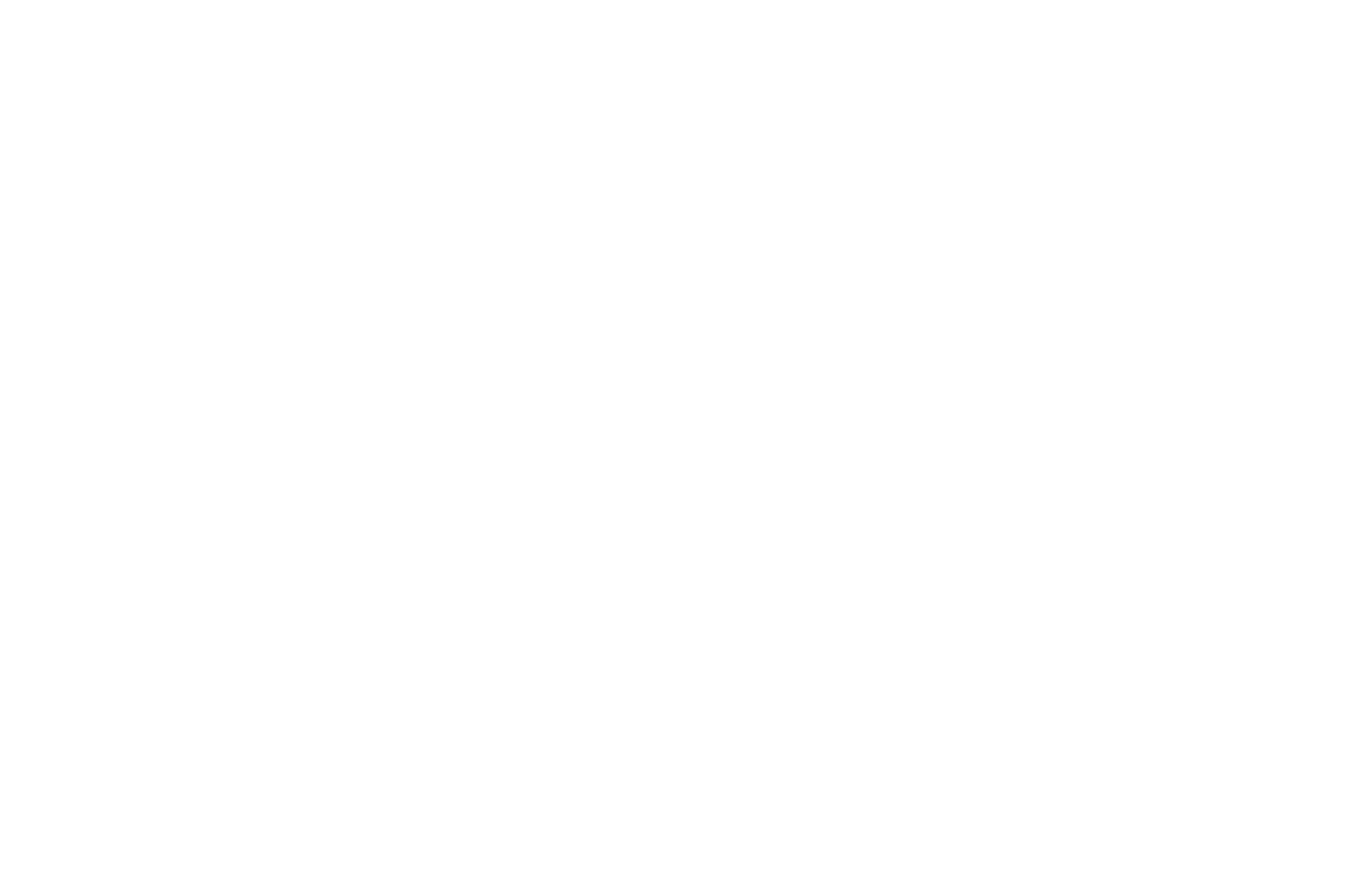dagernova-primary-logo12-white-01